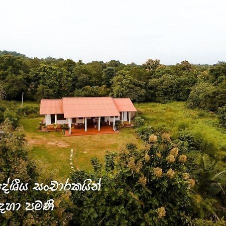 Ruins Villa Polonnaruwa Exteriér fotografie
